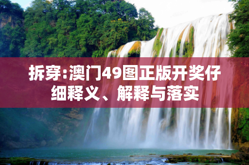 拆穿:澳门49图正版开奖仔细释义、解释与落实