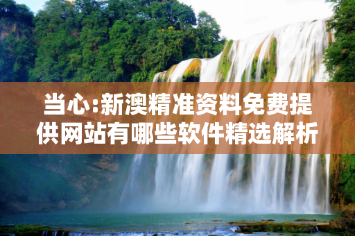 当心:新澳精准资料免费提供网站有哪些软件精选解析、解释与落实