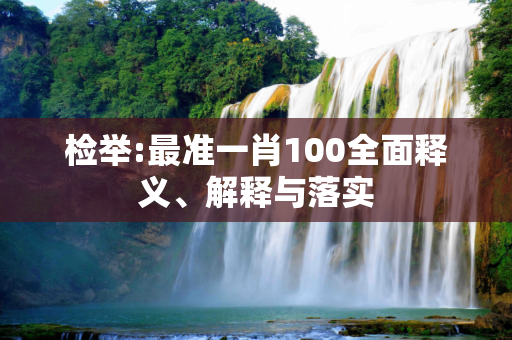 检举:最准一肖100全面释义、解释与落实