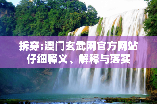 拆穿:澳门玄武网官方网站仔细释义、解释与落实
