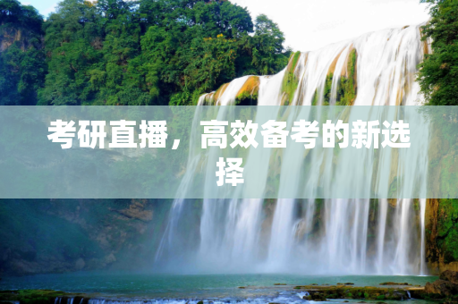 考研直播，高效备考的新选择