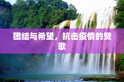 团结与希望，抗击疫情的赞歌