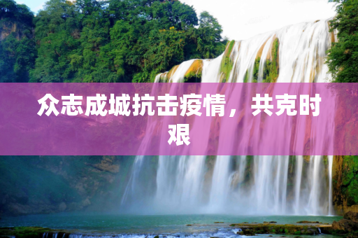 众志成城抗击疫情，共克时艰