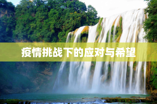 疫情挑战下的应对与希望