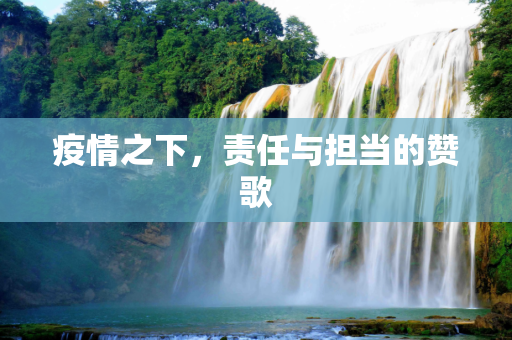 疫情之下，责任与担当的赞歌