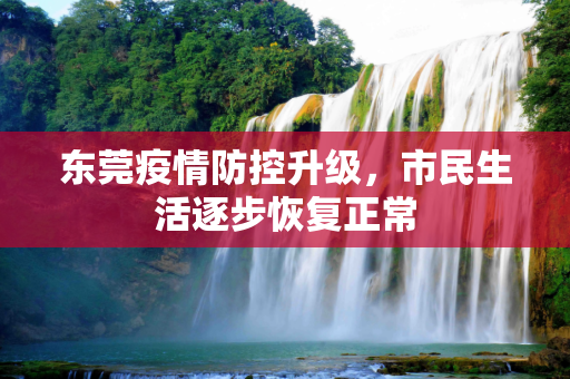 东莞疫情防控升级，市民生活逐步恢复正常