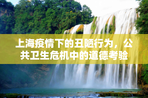 上海疫情下的丑陋行为，公共卫生危机中的道德考验
