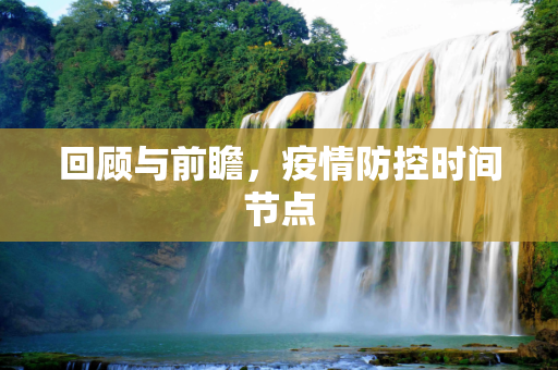 回顾与前瞻，疫情防控时间节点