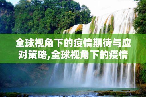 全球视角下的疫情期待与应对策略,全球视角下的疫情期待与应对策略