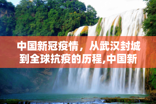 中国新冠疫情，从武汉封城到全球抗疫的历程,中国新冠疫情，从武汉封城到全球抗疫的历程