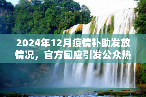 2024年12月疫情补助发放情况，官方回应引发公众热议,2024年12月疫情补助是否会发放？官方回应引关注
