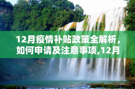12月疫情补贴政策全解析，如何申请及注意事项,12月疫情补贴政策解读及申请指南
