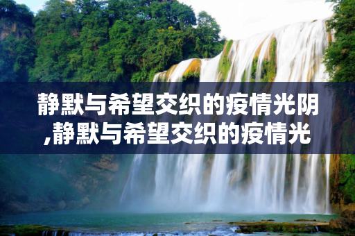 静默与希望交织的疫情光阴,静默与希望交织的疫情光阴