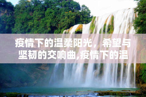 疫情下的温柔阳光，希望与坚韧的交响曲,疫情下的温柔阳光，希望与坚韧的交响曲