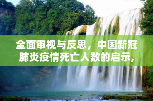 全面审视与反思，中国新冠肺炎疫情死亡人数的启示,中国新冠肺炎疫情死亡人数，全面审视与反思