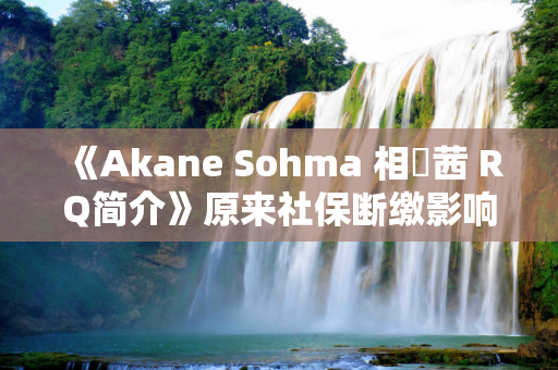 《Akane Sohma 相馬茜 RQ简介》原来社保断缴影响这么大！跳槽季关于社保的那些事儿