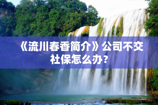 《流川春香简介》公司不交社保怎么办？