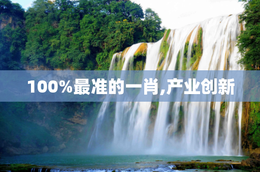 100%最准的一肖,产业创新