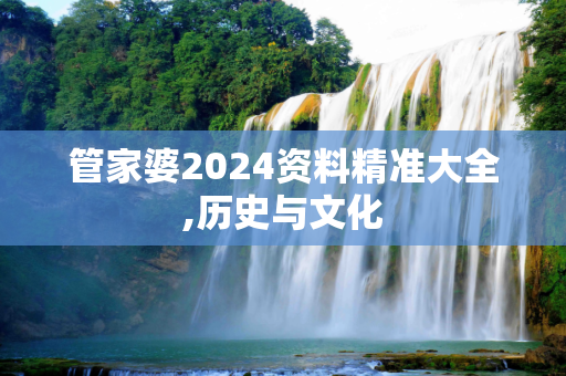 管家婆2024资料精准大全,历史与文化