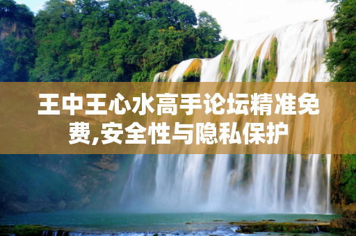 王中王心水高手论坛精准免费,安全性与隐私保护
