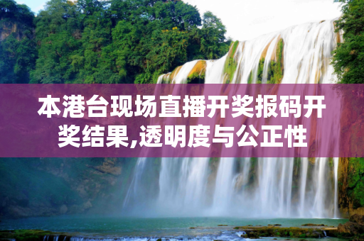 本港台现场直播开奖报码开奖结果,透明度与公正性