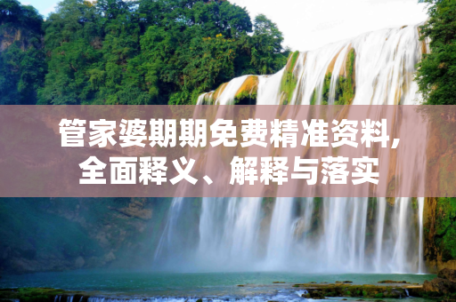 管家婆期期免费精准资料,全面释义、解释与落实