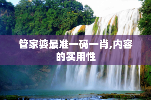 管家婆最准一码一肖,内容的实用性