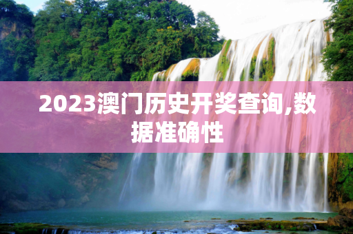 2023澳门历史开奖查询,数据准确性