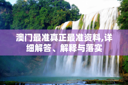 澳门最准真正最准资料,详细解答、解释与落实