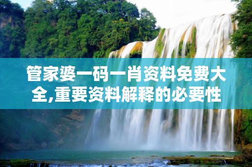 管家婆一码一肖资料免费大全,重要资料解释的必要性