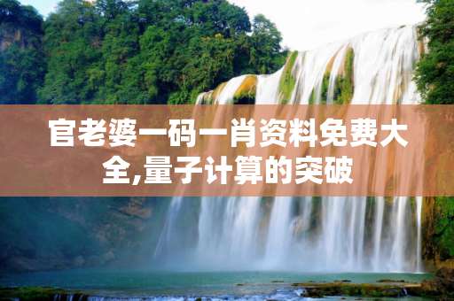 官老婆一码一肖资料免费大全,量子计算的突破