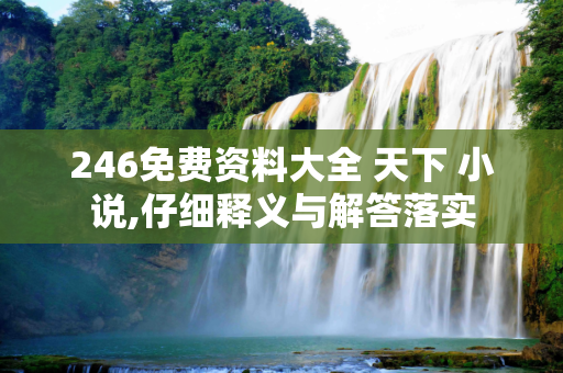 246免费资料大全 天下 小说,仔细释义与解答落实