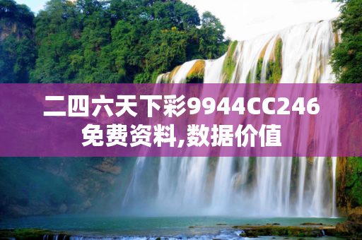 二四六天下彩9944CC246免费资料,数据价值