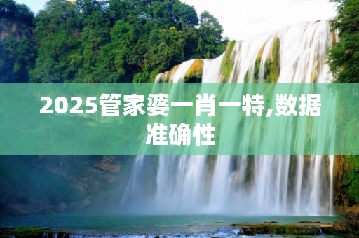 2025管家婆一肖一特,数据准确性