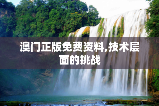 澳门正版免费资料,技术层面的挑战