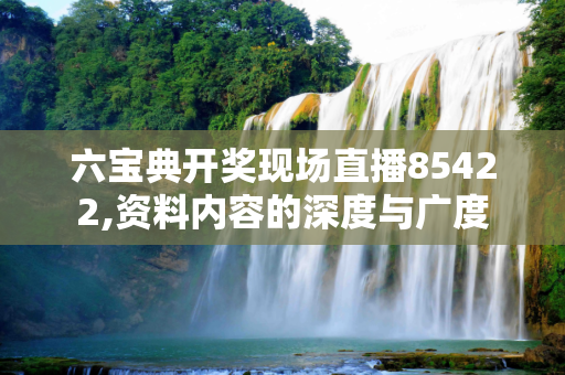 六宝典开奖现场直播85422,资料内容的深度与广度