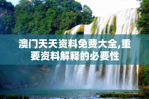 澳门天天资料免费大全,重要资料解释的必要性