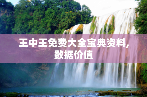王中王免费大全宝典资料,数据价值