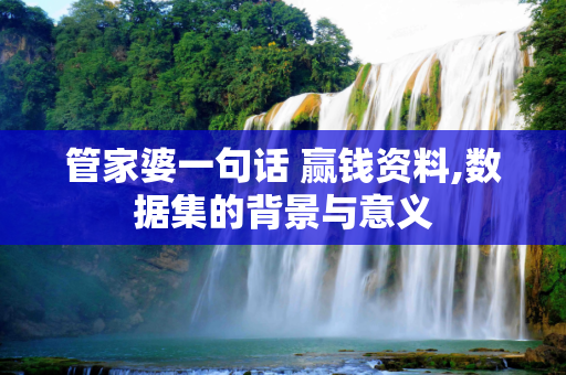 管家婆一句话 赢钱资料,数据集的背景与意义