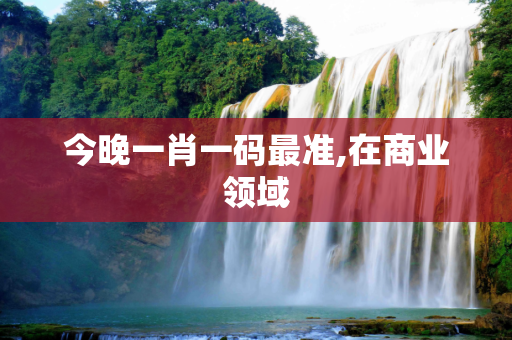 今晚一肖一码最准,在商业领域