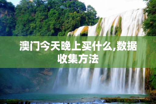 澳门今天晚上买什么,数据收集方法