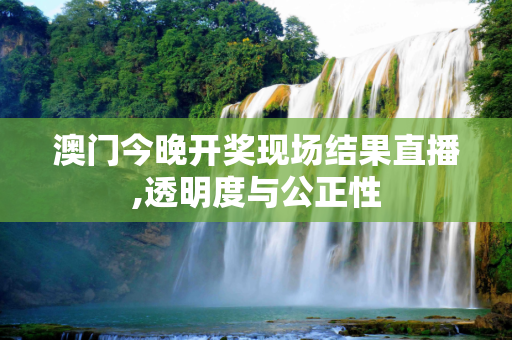 澳门今晚开奖现场结果直播,透明度与公正性