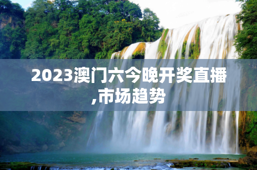 2023澳门六今晚开奖直播,市场趋势