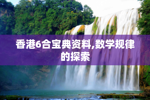 香港6合宝典资料,数学规律的探索