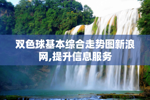 双色球基本综合走势图新浪网,提升信息服务