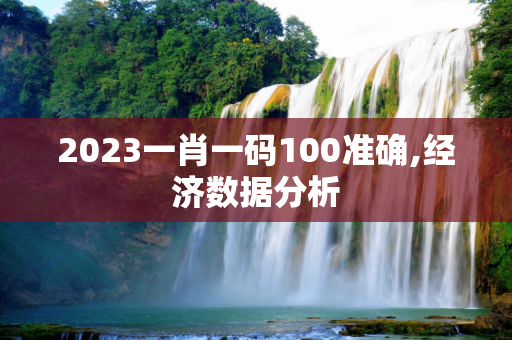 2023一肖一码100准确,经济数据分析