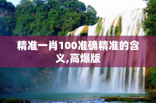 精准一肖100准确精准的含义,高爆版