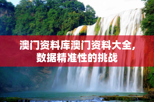 澳门资料库澳门资料大全,数据精准性的挑战