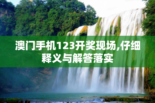 澳门手机123开奖现场,仔细释义与解答落实