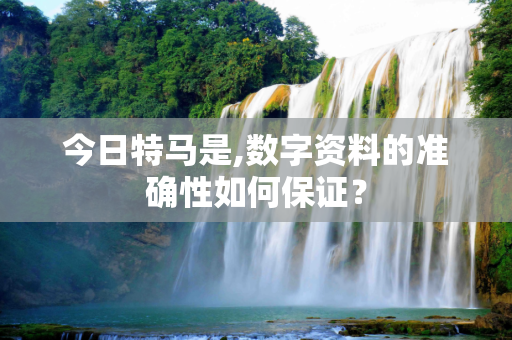 今日特马是,数字资料的准确性如何保证？